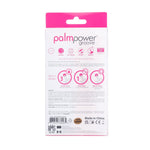 PalmPower Groove Wand Massager