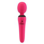 PalmPower Groove Wand Massager