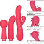 In Touch Passion Trio Vibrator in Pink